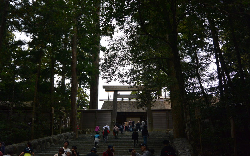 shogu